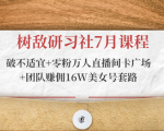 树敌研习社7月课程:破不适宜+零粉万人直播间卡广场+团队赚佣16W美女号套路-互联网资源大全网