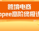 2020跨境电商蓝海新机会-SHOPEE大卖特训营:高阶终极课程(16节课)-互联网资源大全网