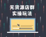 无货源店群实操玩法,蓝海选品的独特思路,店群软件操作方法(45节视频课)-互联网资源大全网