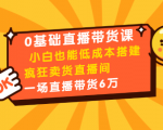 0基础直播带货课:小白也能低成本搭建疯狂卖货直播间:1场直播带货6万-互联网资源大全网