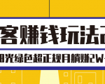 淘客赚钱玩法2.0,阳光绿色超正规项目,月躺赚2W+【视频课程】-互联网资源大全网