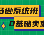 亚马逊系统班,专为0基础卖家量身打造,亚马逊运营流程与架构-互联网资源大全网
