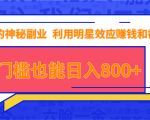 抖音上神秘副业项目,利用明星效应赚钱和截流,无门槛也能日入800+-互联网资源大全网