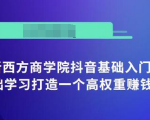 抖音基础入门班：小白0基础学习打造一个高权重赚钱的抖音号-互联网资源大全网