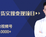 柚子分享课:微信视频号变现攻略,新手零基础轻松日赚千元-互联网资源大全网