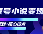 柚子微信视频号小说变现项目，全新玩法零基础也能月入10000+【核心技术】-互联网资源大全网