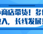 微信小商店带货,爆单多倍收入,长期复利循环!日赚300-800元不等-互联网资源大全网