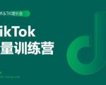 2020最新TikTok流量增长训练营(完结)附PPT-互联网资源大全网
