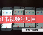 野路子小红书视频号1.0项目,直接上手操作就能赚钱的视频号项目-互联网资源大全网