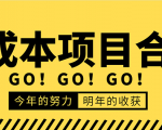 低成本零成本项目合集：赚钱快的慢的、暴利的，线上线下的，价值万元资料-互联网资源大全网