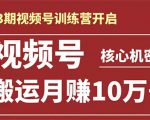 起航哥-第3期视频号核心机密:暴力搬运日入3000+月赚10万玩法-互联网资源大全网