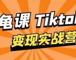 龟课·TikTok变现实战训练营线上第1期,多种变现模式,轻松赚美刀-互联网资源大全网