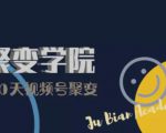 30天视频号成长营：视频号制作筹备+视频剪辑+视频号运营+引流变现-互联网资源大全网