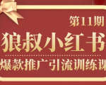 狼叔小红书爆款推广引流训练课第11期,手把手带你玩转小红书-互联网资源大全网