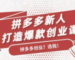 拼多多新人打造爆款创业课:快速引流持续出单,适用于所有新人-互联网资源大全网