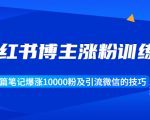 小红书博主涨粉训练营:一篇笔记爆涨10000粉及引流微信的技巧-互联网资源大全网