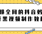 火爆全网的抖音“蚂蚁牙黑”视频制作教程，附软件【视频教程】-互联网资源大全网