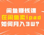 闲鱼赚钱课:在闲鱼卖ipad,如何月入3W?详细操作教程-互联网资源大全网