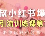 狼叔小红书爆款推广引流训练课第12期,手把手带你玩转小红书-互联网资源大全网