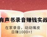 有声书录音赚钱实战:在家录音,动动嘴皮,日赚1000+!-互联网资源大全网