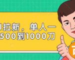 Paypal拉新赚美刀项目,单人一天利润500-1000刀【视频课程】-互联网资源大全网