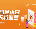雨课·亚马逊小白特训营第9期 跨境电商挺赚钱的 有朋友已经月入几十万美金-互联网资源大全网