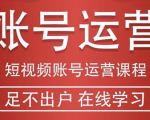短视频账号运营课程:从话术到短视频运营再到直播带货全流程,新人快速入门-互联网资源大全网