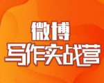 村西边老王·微博超级写作实战营,帮助你粉丝猛涨价值999元-互联网资源大全网