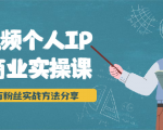 短视频个人IP商业实操课，百万粉丝实战方法分享，小白也能实现流量变现-互联网资源大全网