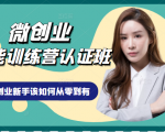 微创业全能训练营认证班课程,从理论知识与实际案例手把手指导创业新手如何从零到有-互联网资源大全网