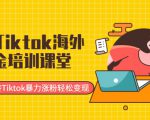 最新Tiktok海外掘金培训课堂：带你玩转Tiktok暴力涨粉轻松变现-互联网资源大全网