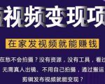 在家也能操作的短视频赚钱项目,无需真人,不用拍摄,纯搬运月入2到5万-互联网资源大全网