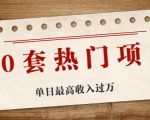 30套热门项目:单日最高收入过万 (网赚项目、朋友圈、涨粉套路、抖音、快手)等-互联网资源大全网