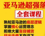 亚马逊超强落地实操全案课程:拒绝大量盲目铺货,日出千单不在话下-互联网资源大全网