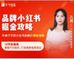 品牌小红书掘金攻略,年销千万的小红书品牌打爆款指南-互联网资源大全网