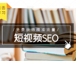 未来新趋势,布局短视频SEO,如何利用抖音SEO免费获得精准流量(3节课)-互联网资源大全网