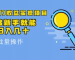 得物冷门收益实操项目，0基础新手就能单号日入几十，可批量操作-第一资源库