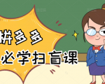 拼多多商家开店入门必学,0基础新手小白扫盲课(58节视频课程)-互联网资源大全网