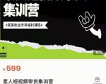夜草与千里马素人短视频带货集训营,薛辉团队价值599-第一资源库
