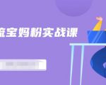百度贴吧引流宝妈粉实战课,小白也可以日引100+精准粉-互联网资源大全网