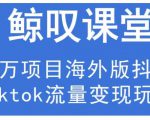 鲸叹号·海外TIKTOK训练营，百万项目海外版抖音tiktok流量变现玩法-互联网资源大全网