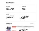 大凯进阶圈新玩法之拼多多视频玩法，利润大概一个号一天能有500~1500的左右!-第一资源库