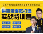 玺承云·拼多多爆款打造实战特训营，一套从入门到高手课程，让你快速拿捏拼多多-互联网资源大全网