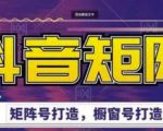 高鹏圈·抖音带货矩阵项目,起号成功率100%,出单率100%!-互联网资源大全网