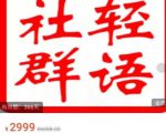 轻语社群-拼多多VIP会员系列,超详细的拼多多实战运营攻略-互联网资源大全网
