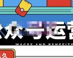 零零已久·从0-1运营公众号,零基础小白也能上手,系统性了解公众号运营-互联网资源大全网