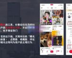 麦子互娱短视频带货·0基础做好物分享账号,无需出镜无需货源无需拍摄-互联网资源大全网