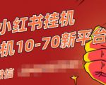 视频号小红书抖音挂机项目,小白无脑操作,按照要求来,单号每天几十米-互联网资源大全网