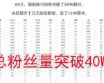 倪叶明·蓝海公众号矩阵项目训练营,0粉冷启动,公众号矩阵账号粉丝突破30w-互联网资源大全网