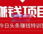 懒人领域·今日头条项目玩法，头条中视频项目，单号收益在50—500可批量-互联网资源大全网